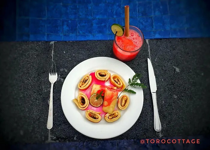 Toro Sakti